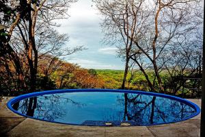 a blue pool of water with a view of trees at GuanaGlamp in Tamarindo +22 photos