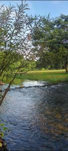 a painting of a river with trees and grass at สุขเสมอ แคมป์ปิ้ง สวนผึ้ง in Ban Tha Khoei