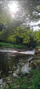 a river with a swing in the middle of it at สุขเสมอ แคมป์ปิ้ง สวนผึ้ง in Ban Tha Khoei
