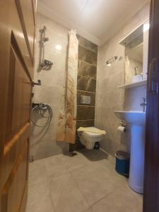 a bathroom with a shower and a toilet and a sink at Biter Hotel in Istanbul +92 photos