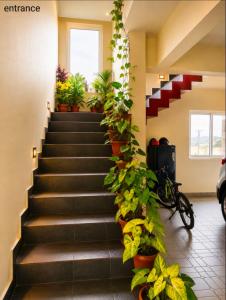 a staircase with potted plants in a building at The two bedroom house in Madikeri