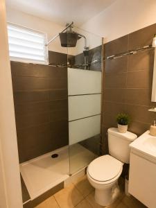 a bathroom with a toilet and a glass shower at Le Cocon de Mont-Vert in Le Robert