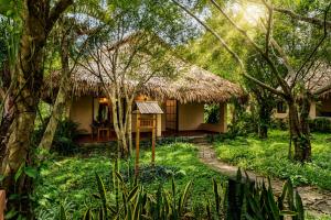 a house in the jungle with a grass roof at Cuc Phuong Mineral Retreat in Ninh Binh +250 photos