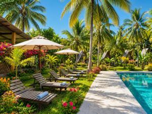a row of chairs and umbrellas next to a swimming pool at The Ramp Udawalawe in Udawalawe