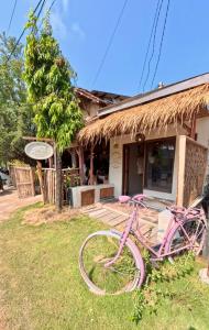 a pink bike parked in front of a building at Alianna Homestay in Karimunjawa