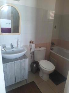 a bathroom with a toilet and a sink and a tub at Villa Le Balisier in Le Lamentin +6 photos