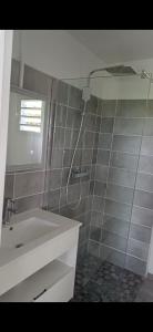 a bathroom with a white sink and a shower at Blue Dream in Morne Blanc +7 photos