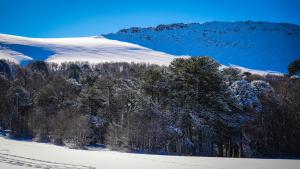 a snow covered slope with trees and a mountain at Refugio de montaña Küme Mongüen in Malalcahuello