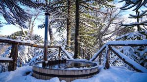 a wooden barrel in the snow in a forest at Refugio de montaña Küme Mongüen in Malalcahuello