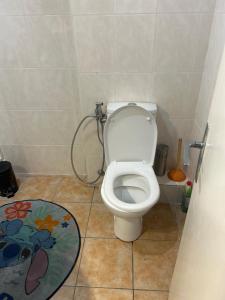a bathroom with a toilet with a shower at residence st marguerite in Antibes