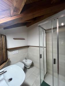 a bathroom with a toilet and a glass shower at Chalet Blanc "La Mansarda" in Courmayeur +39 photos