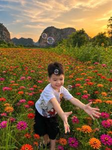 a young boy playing in a field of flowers at Sol Flow Retreat in Nguyên Ngoại
