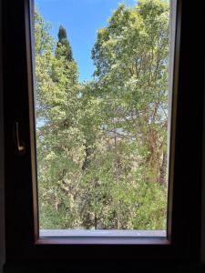 a window with a view of a forest of trees at Dolce Risveglio in Monticello