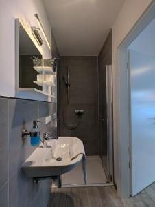 a bathroom with a sink and a shower at Nathalie in Bad Vilbel +5 photos