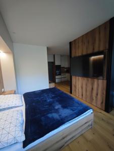 a bedroom with a large bed and a flat screen tv at Apartmán Vyhne in Vyhne