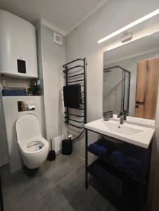 a bathroom with a toilet and a sink at Apartmán Vyhne in Vyhne
