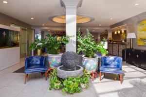 Eine Lobby mit drei Stühlen und einem Tisch mit Pflanzen in der Unterkunft Quality Inn & Suites Montebello - Los Angeles in Montebello