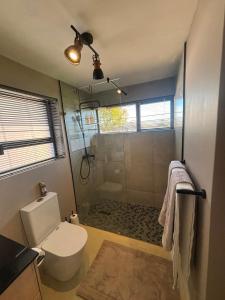 a bathroom with a white toilet and a shower at Mount Glow Self-Catering in Swellendam +18 photos