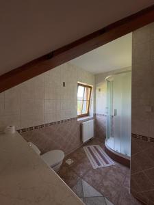 a bathroom with a toilet and a tub and a window at Šumavský dům in Drslavice +18 photos