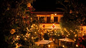 ein Garten mit Lichtern vor einem Gebäude in der Unterkunft Copa de Oro Hotel Boutique in Mascota
