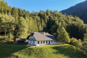 an aerial view of a house on a hill at Karami Mountainhouse in Tržič