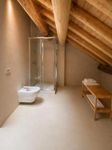 a bathroom with a glass shower and a sink at DIMORA STORICA ZACCHI D'ARRIGO in Belluno +132 photos