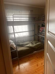 a bunk bed in a small room with a wooden floor at Asleep in the Valley Villa in Oslo
