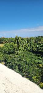 a view of a field of trees and a beach at Tulia Stays in Mtwapa +1 photo