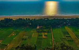 an aerial view of a field next to the ocean at Ocean Sparrow Home Stay in Gokarna