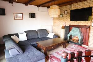 a living room with a couch and a fireplace at Villa Ferra in Virovitica