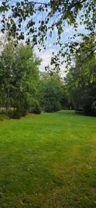 a field of green grass with trees in the background at Glamping Dedovles Vlastný stan in Vyšné Hágy