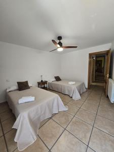 a bedroom with two beds and a ceiling fan at Apartamento Ioar in Los Arcos
