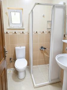 a bathroom with a toilet and a shower at Ören örtur tatil evleri in Ören