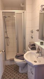 a bathroom with a toilet and a sink and a shower at Gästehaus Mittmann in Bad Kissingen +18 photos