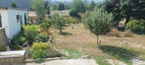a garden with trees and bushes and a building at Zimmer zum Viadukt in Neulengbach