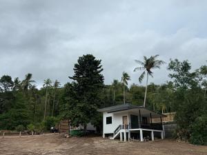 a small white house with a palm tree behind it at Greenway in Hinkong