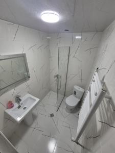 a white bathroom with a sink and a toilet at Villa Okatse in Zeda-Gordi