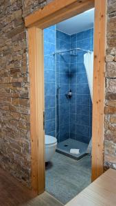 a bathroom with a shower and a toilet in it at Guesthouse Hotel Between in Chamoson