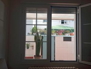 a window with a potted plant in a room at Casa Oskar in Avilés