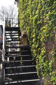 a set of stairs with a ivy covered wall at SOUSIE'S RUSTIC STAY in Polokwane