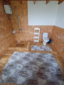 a bathroom with a toilet and a ladder in it at Arca lui Roman in Furceni