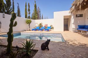 a black cat sitting next to a swimming pool at Dar D'art Luz Galerie Boutique Guest house in Al Ghar