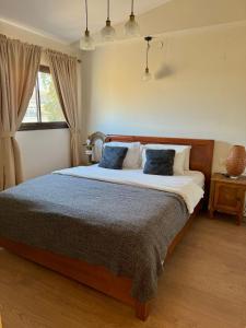 a bedroom with a large bed with two blue pillows at Kirshner Farm in Bet Leẖem HaGelilit