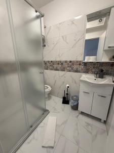 a bathroom with a shower and a sink and a toilet at Capital Stay Old Town in Sarajevo