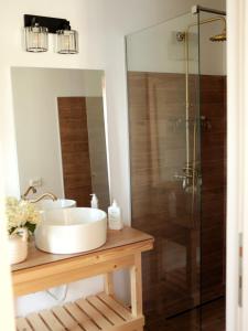 a bathroom with a sink and a shower at Cabana din vale in Cioclovina