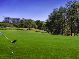 a golf ball sitting on the grass next to a hole at Novotel Itu Terras de São José Golf & Resort in Itu