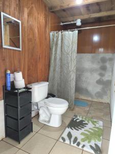 a bathroom with a toilet and a shower at Cabaña Cherenga in Sarchí