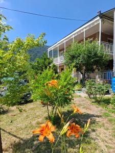 a house with orange flowers in front of it at Villa Borjomi in Akhaldaba