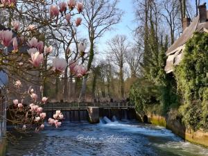 a river with pink flowers in front of a dam at Une nuit près de l'eau in Hallines