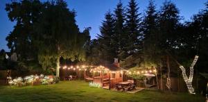 a backyard with a lot of lights in the yard at Apartament Milka in Tolkmicko